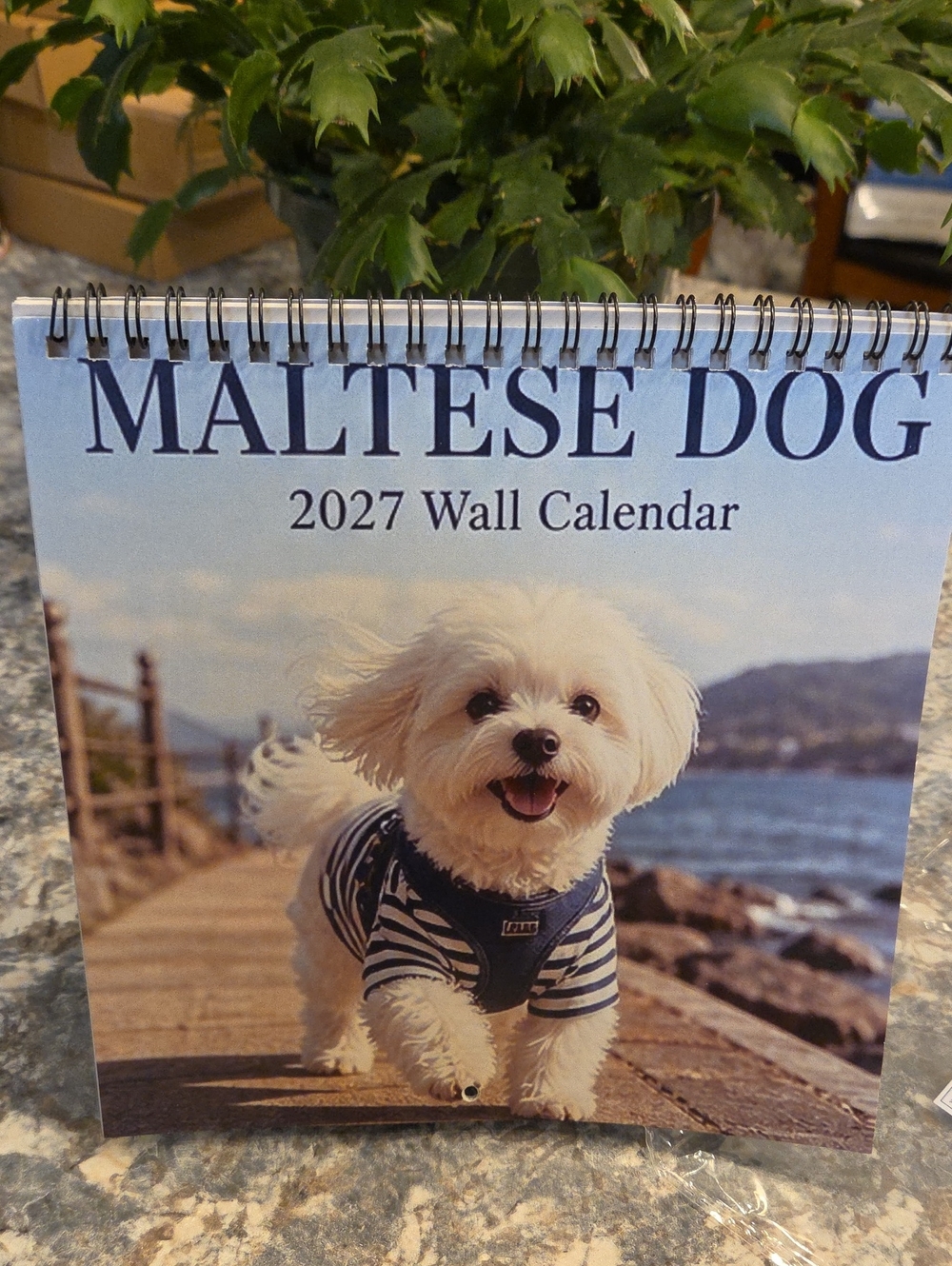 Maltese Dog 2027 Wall Calendar - White